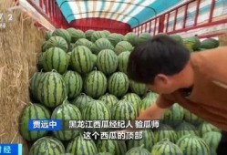 阳台山吃瓜,品味生活，共享清凉时光