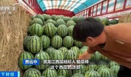 阳台山吃瓜,品味生活，共享清凉时光