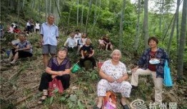 富阳吃瓜人,一场吃瓜人生的酸甜苦辣