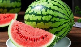 吃瓜怎么吃最快,一秒速享吃瓜技巧揭秘