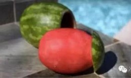 吃手剥瓜吃皮大网红,吃手剥瓜皮，引领美食新风尚