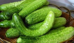 吃同城瓜,共赏丰收喜悦