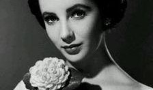 吃伊丽莎白瓜嘴疼,却引发嘴疼困扰揭秘