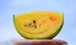 吃瓜冲,揭秘娱乐圈背后的秘密与真相