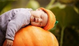 晚睡的宝宝有瓜吃,揭秘瓜果盛宴的秘密