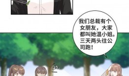 霸道总裁夫人吃瓜,揭秘豪门背后的吃瓜风云