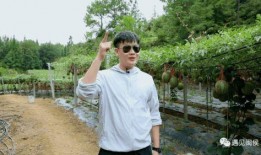 吴韬吃瓜,揭秘娱乐圈幕后故事