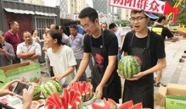 朝阳群众吃瓜更新,揭秘京城街头的热辣话题