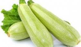 腹泻吃茭瓜,天然食疗的神奇疗效